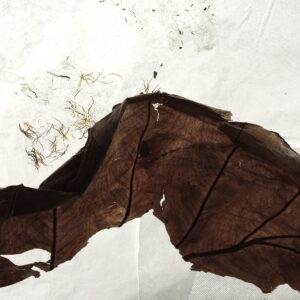 imaginaire cartographie avec courbes de niveau 2