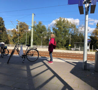 At the mushroom-picking side-trip