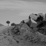 Erriadh ouverture Erriadh ouverture